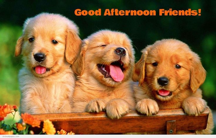 Good Afternoon Images